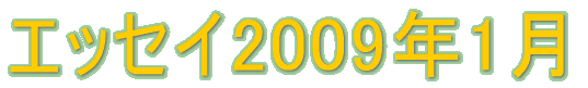 GbZC2009N1